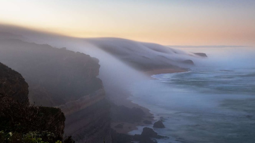 fog laying like a blanket over cliffs draping over the sea.