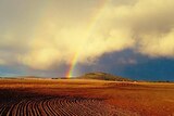 Rainbow over WA grain farm