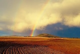 A rainbow over a farm field.