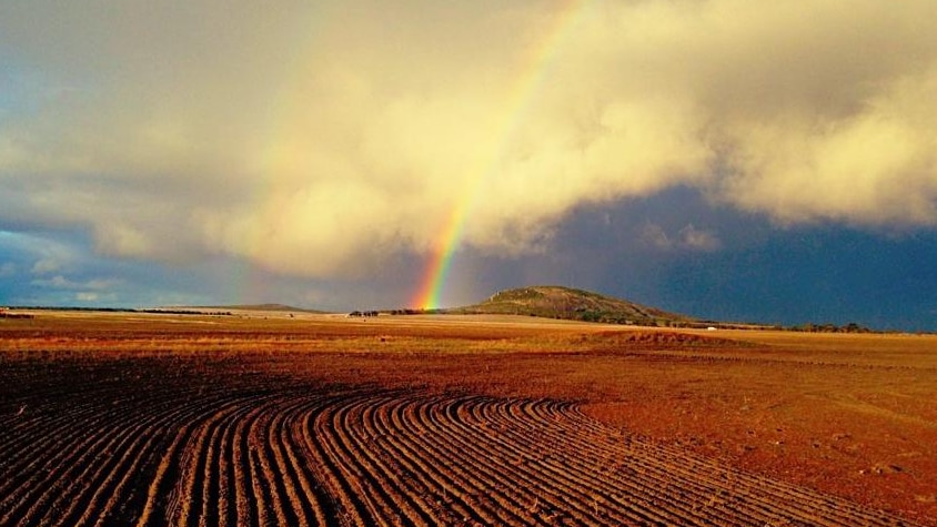 A rainbow over a farm field.