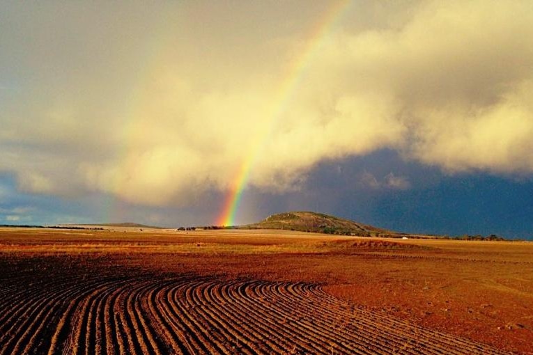 Rainbow over WA grain farm