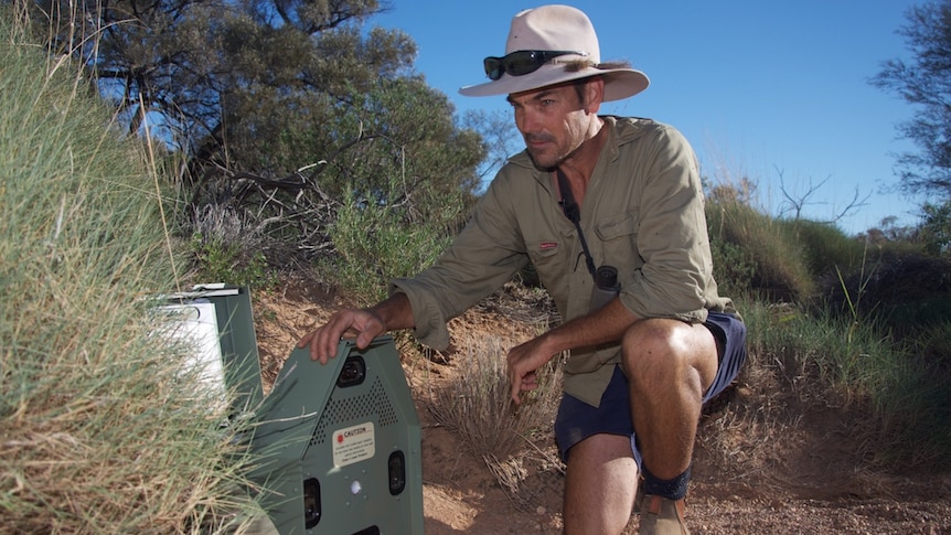 A man wearing Khaki and a hat kneeling down in the bushes with his hand on a green device.