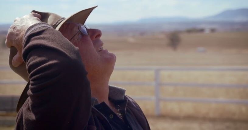 Google tests prototype drone in Queensland; Warwick farmer has dog food ...