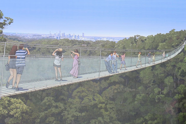 Artist's impression of proposed suspension bridge as part of zipline project on Mt Coot-tha in Brisbane