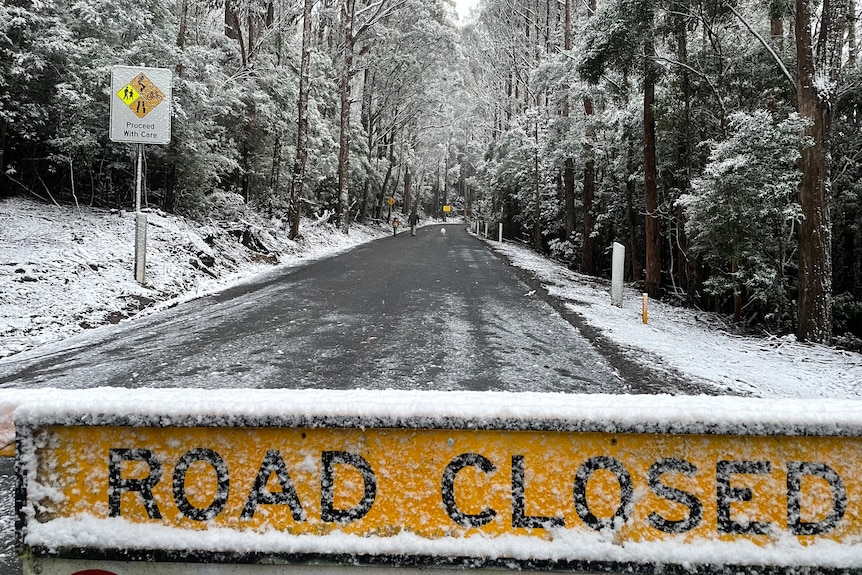 A road closed sign is covered in snow, with the road up kunanyi/Mt Wellington blocked off behind.