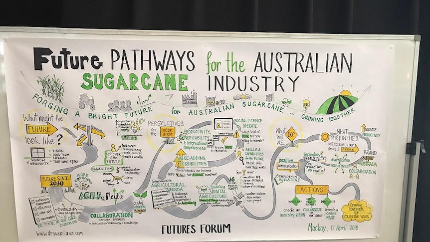 A close up of a poster with drawings to depict the future of the sugar industry.