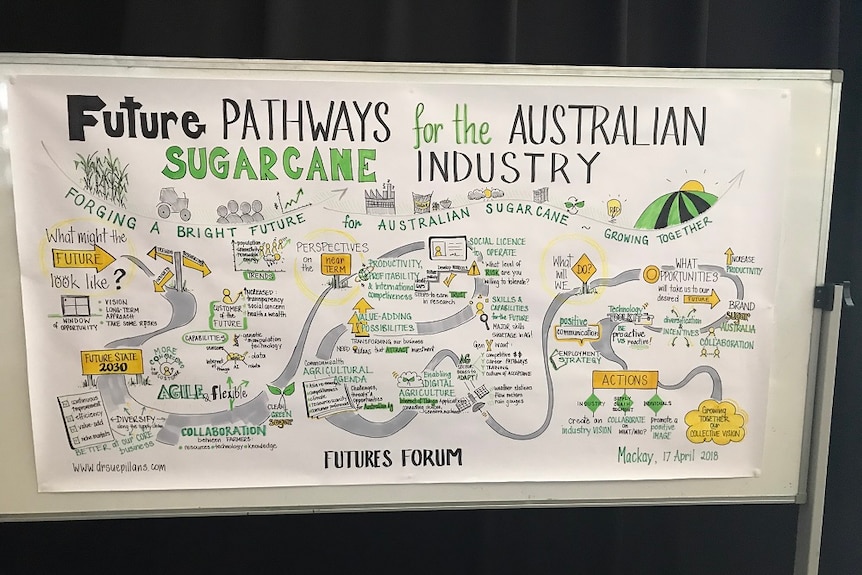 A close up of a poster with drawings to depict the future of the sugar industry.