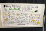 A close up of a poster with drawings to depict the future of the sugar industry.