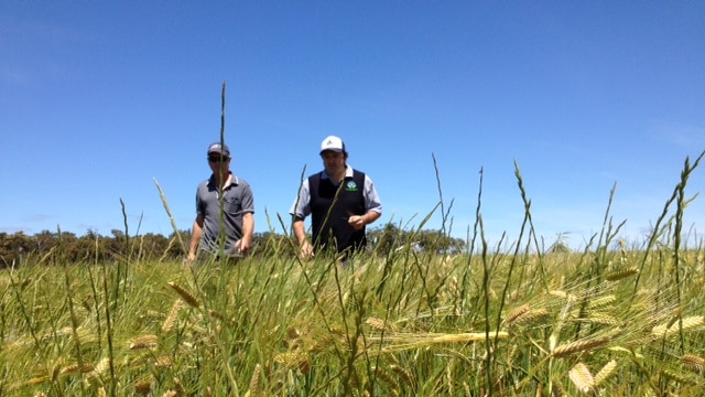 Michael Baxter and his agronomist