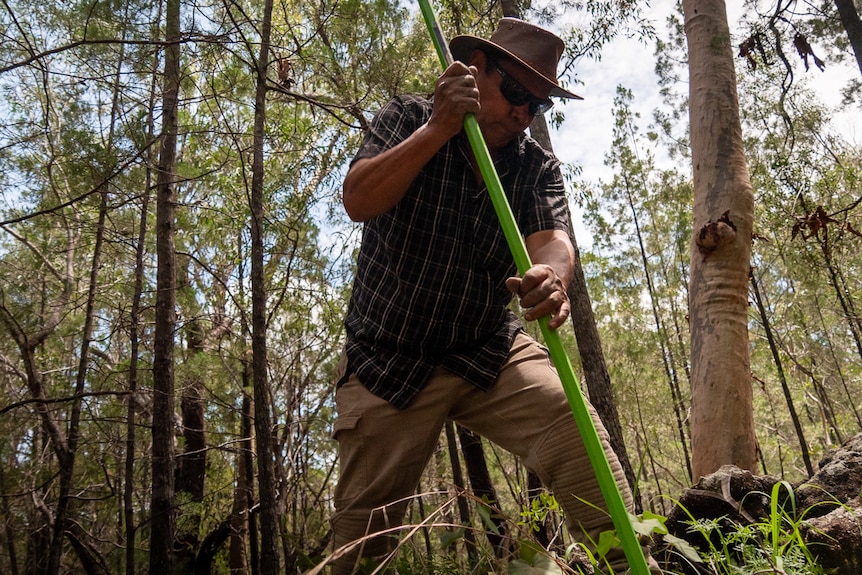 man using large green pole to dig ground in bushland