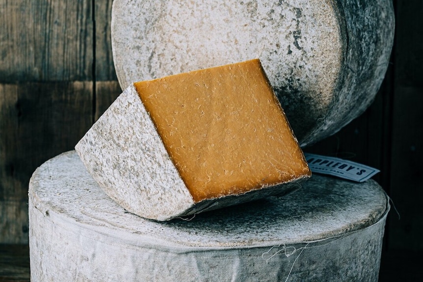 A thick wedge of semi-hard cheese sits on a large wheel of cheese.