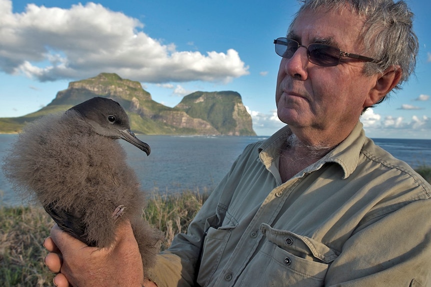 A man stands holding a medium sized black bird, with a large island in the background.