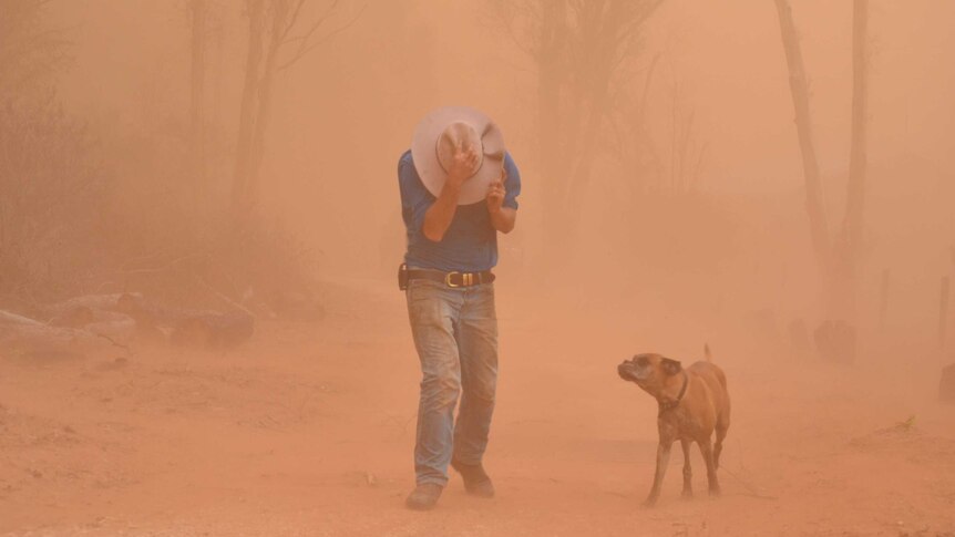 Another day, another dust storm