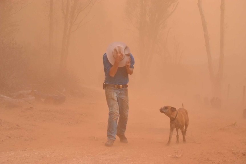 Another day, another dust storm