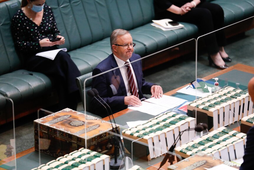 Anthony Albanese grimaces as he sits in front of glass barriers on the floor of the House of Representatives.