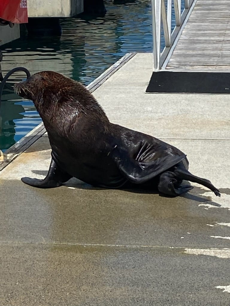 84c51054962965bb9ca3133d734bd088?impolicy=wcms_crop_resize&cropH=512&cropW=768&xPos=0&yPos=200&width=862&height=575