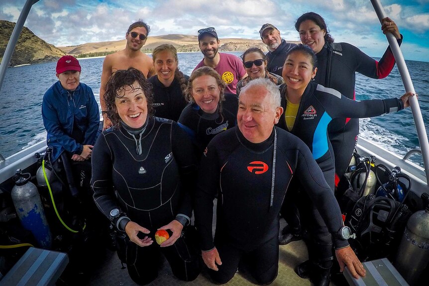 Volunteer and government divers near Adelaide