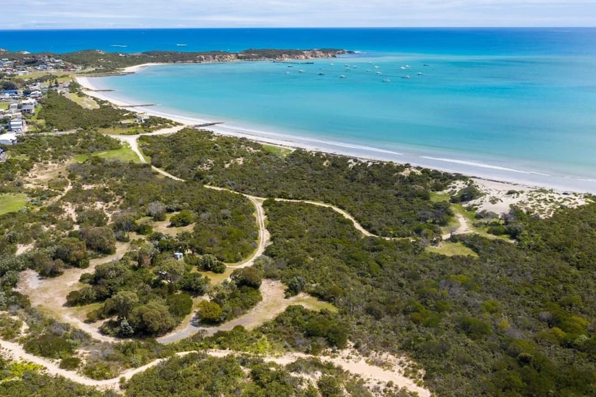 A birds-eye view of a coastline with trees and shrubery