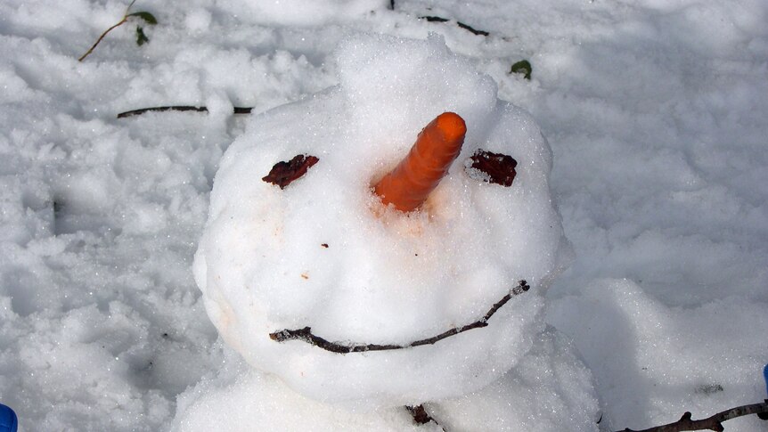 Snowman figure with carrot nose at Mount Selwyn snowfields.