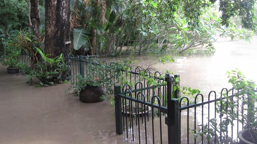 Floodwaters swamp an Indooroopilly backyard.
