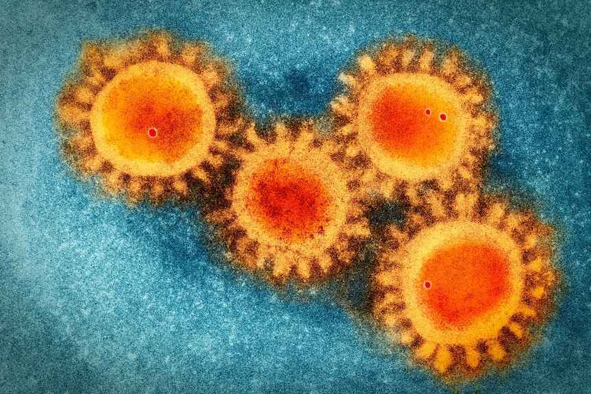 Four yellow circles with spikes and red centre, on blue background.