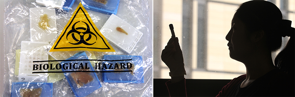 Two images: a plastic bag with 'biological hazard' printed on it, filled with samples, and a woman holding a test tube.