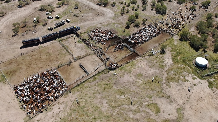 An aerial shot of the property