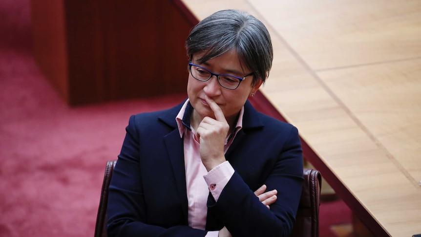 Penny Wong delivered an emotional speech after Australian Christian Lobby's 'stolen generation' remark.