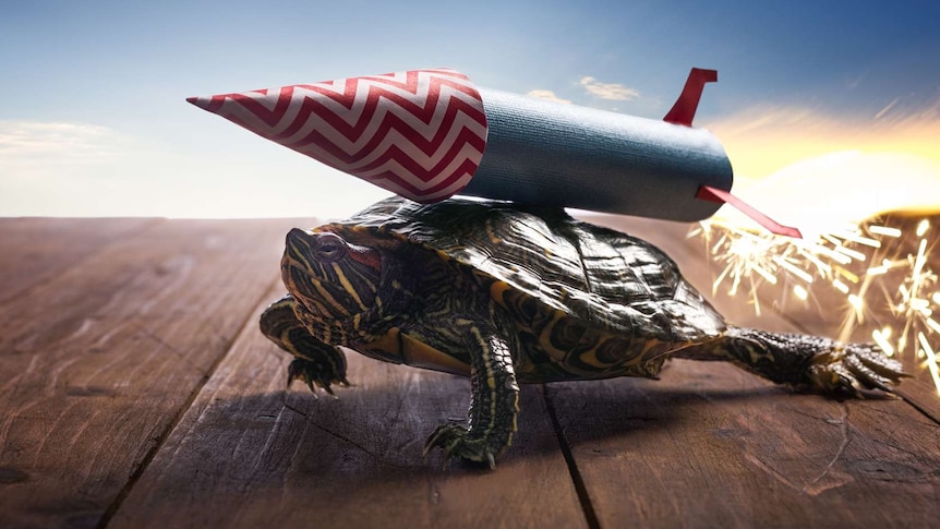 Fictitious image of a Tortoise with a rocket on its back, sparks coming out of back of rocket
