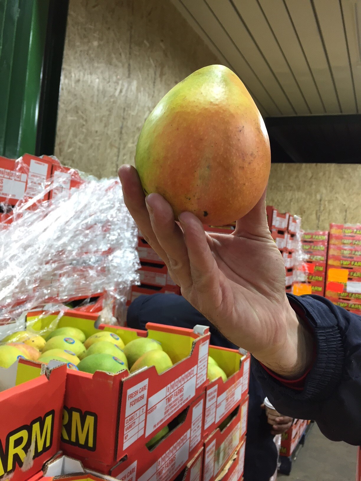 Very big mangos