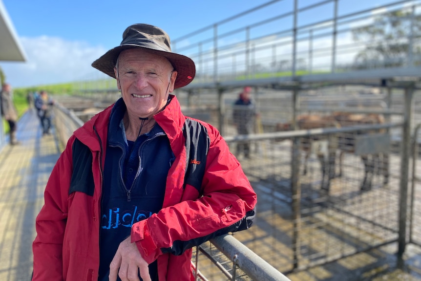 Frank Matkovich stands in front of the livestock pens at the Smithton saleyards.
