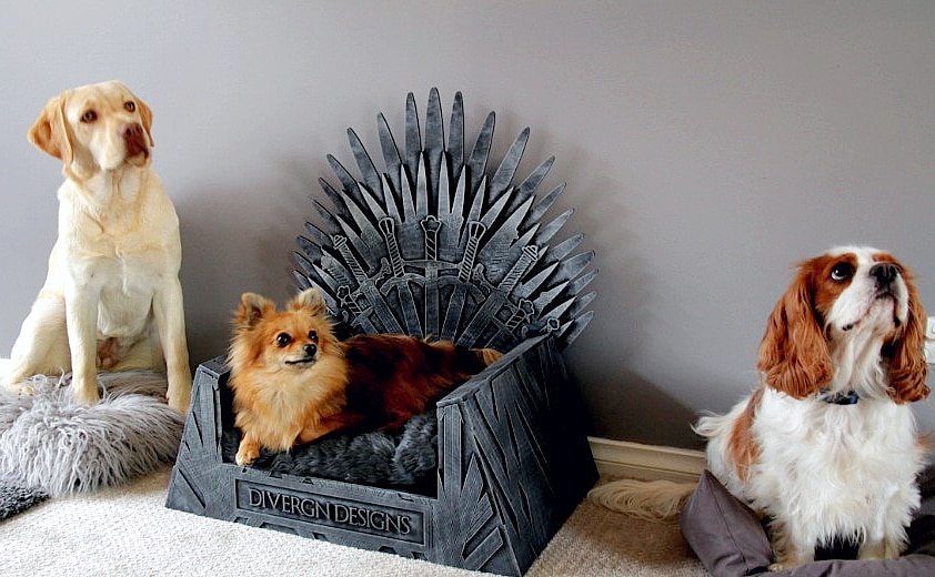 dog on throne