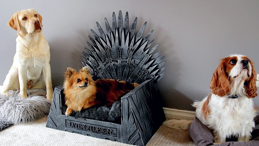 Michelle and Matt Lee's dogs sitting in a line, with Pika sitting on the iron throne bed.