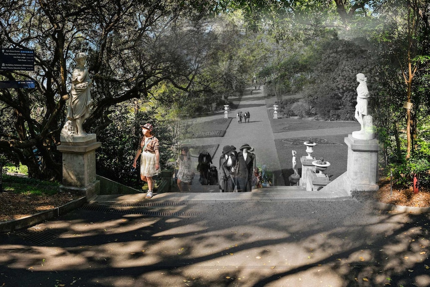 Transitions 1914-2014, Botanic Gardens