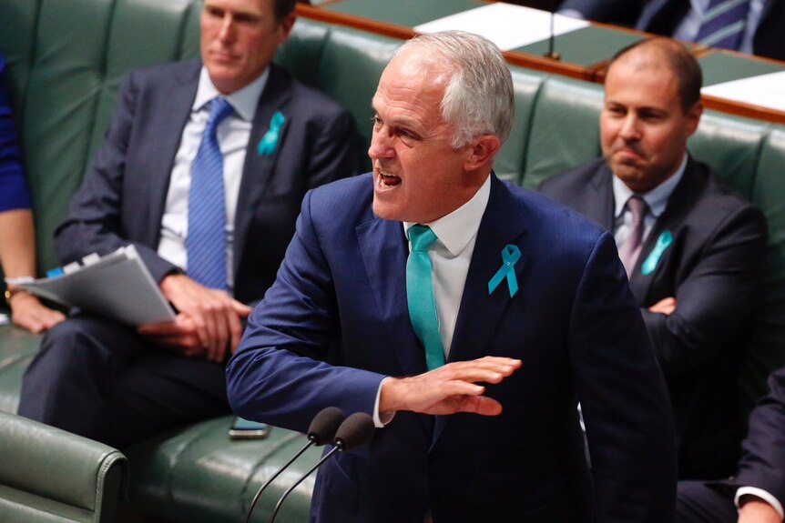 Australian Prime Minister Malcolm Turnbull addresses the House of Representatives