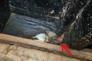 An inspection report shows structural timbers have rotted out.