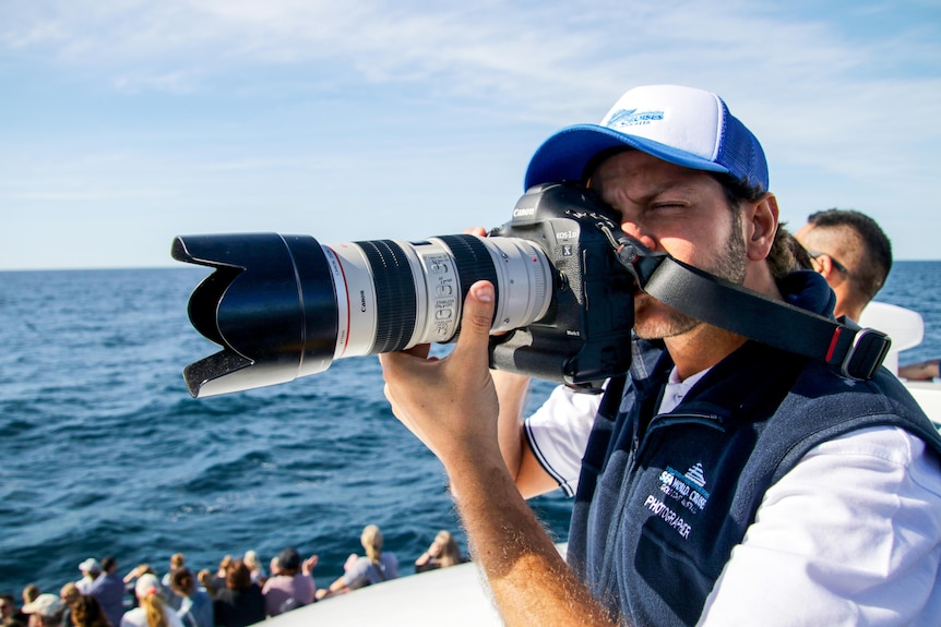 whale photographer