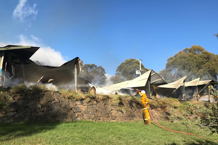 Fire at Bronte Park, Tasmania.