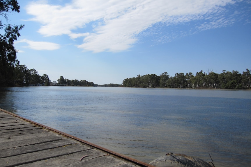 River Murray at Renmark