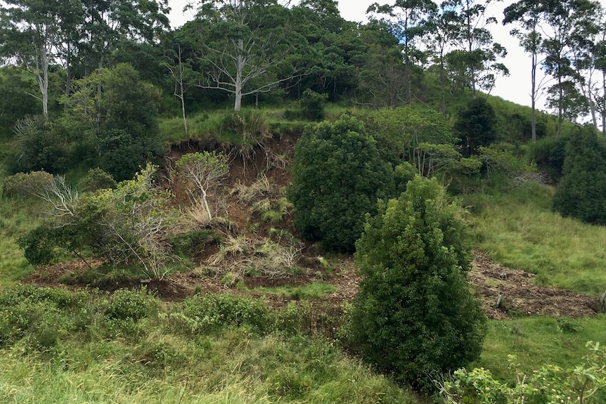 A hill with a big landslip on it.