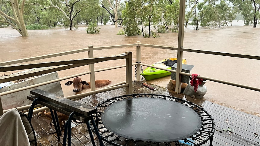flooding-inundates-homes-in-fitzroy-crossing-central-kimberley-as