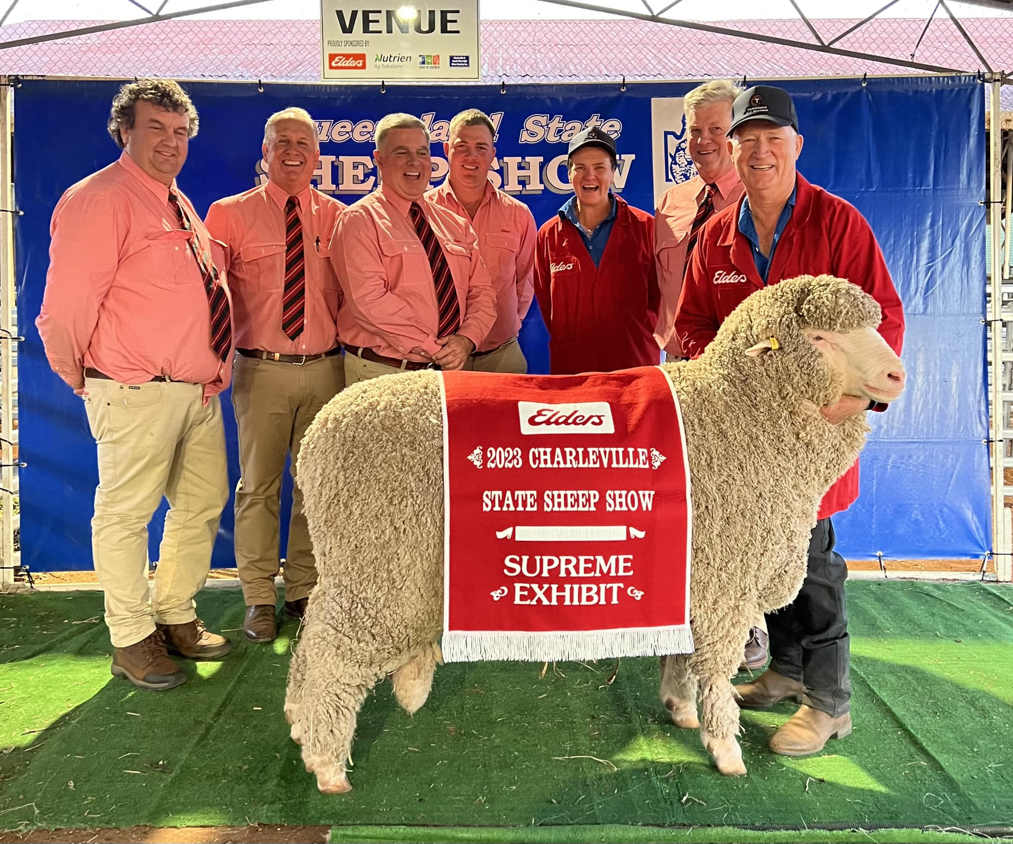 Tamaleuca Merino Stud from Victoria takes top honour in Queensland