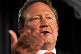 Andrew Forrest speaks at the National Press Club.