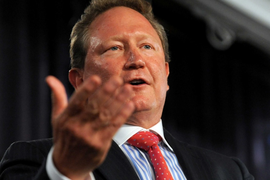 Andrew Forrest speaks at the National Press Club.