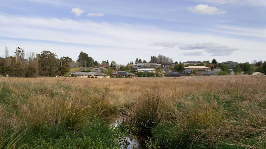 Wetland surrounding the city of Orange