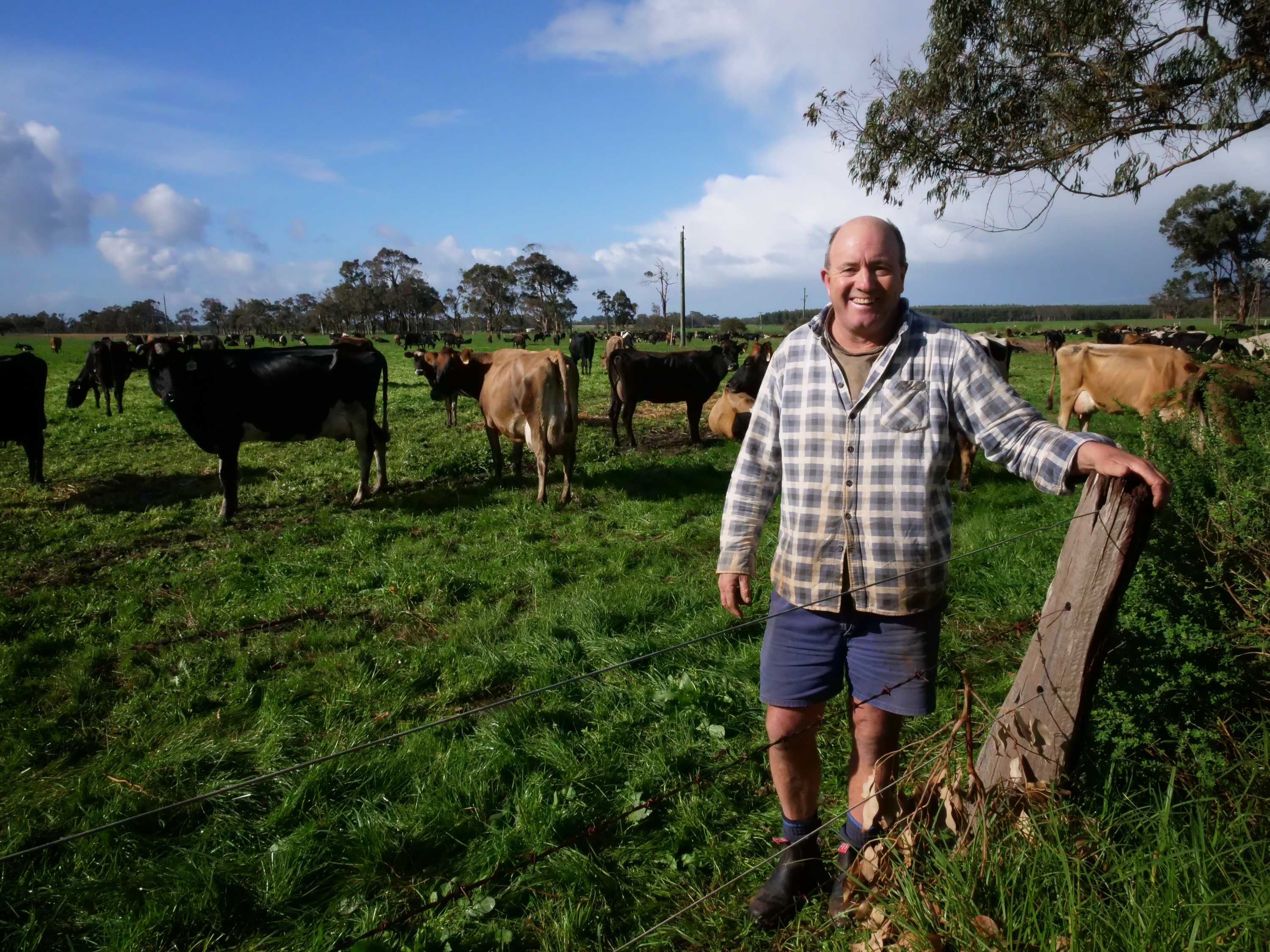 Ross Woodhouse standing in front of dairy cows at Scott River in June 2020.