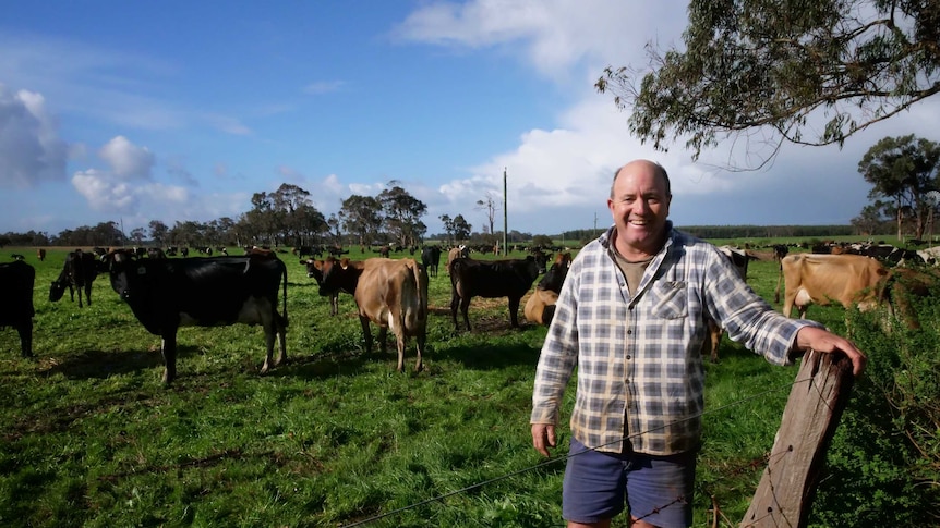 Ross Woodhouse standing in front of dairy cows at Scott River in June 2020.