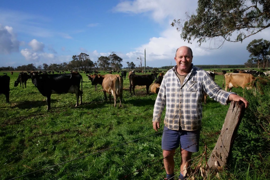 Ross Woodhouse standing in front of dairy cows at Scott River in June 2020.