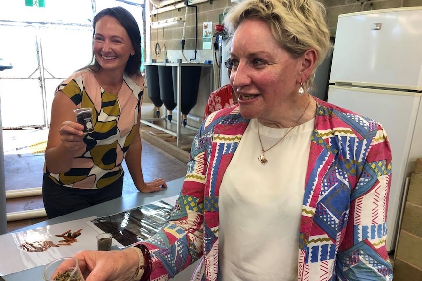 Image of two women wearing multicoloured shirts, they're holding samples of fly larvae.