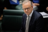 Anthony Albanese wears a stern expression on his face as he sits in the House of Reps